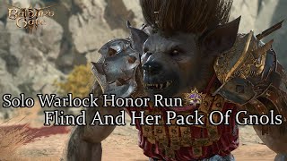 Solo Wyll The Warlock Flind And Her Pack Honor Run