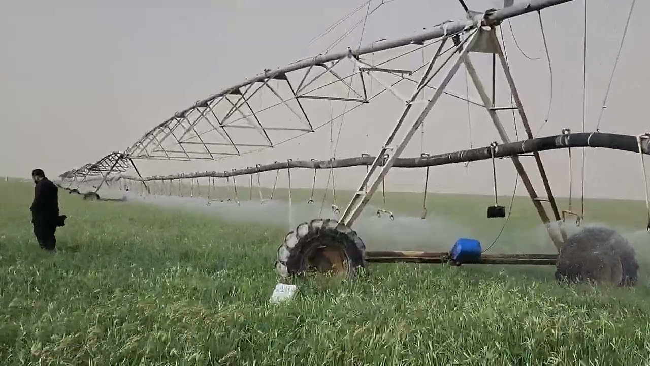 Rhodes grass | irrigation pivot | modern agriculture