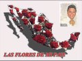 LAS FLORES DE MI PAIS (COVER TIGRES DEL NORTE)