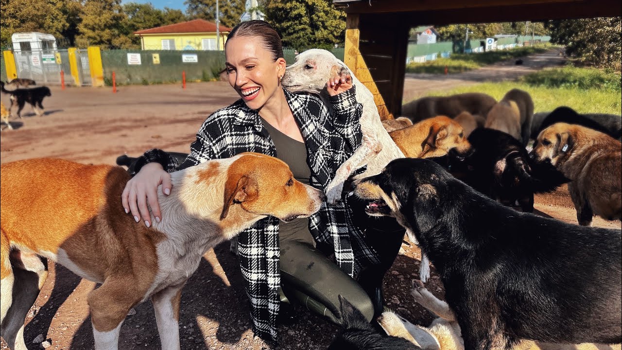 Sokak Hayvanlarını Beslemeye Gittim!