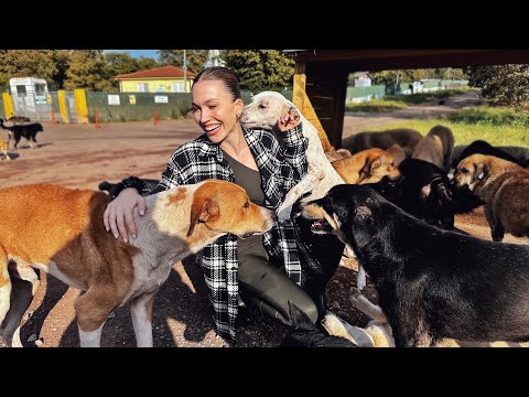 Sokak Hayvanlarını Beslemeye Gittim!