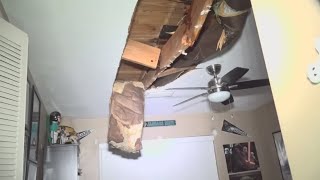 Arlington family left to repair damage after tree falls on home during Helene
