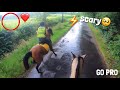 spooky LIGHTENING strikes (stuck in a storm) | GO PRO | equinemollie