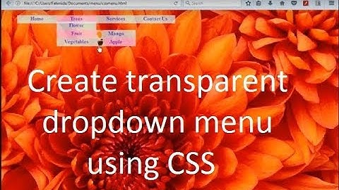 How to create Dropdown  Menu with Submenu in Html and CSS