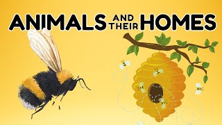 Animal Homes | Can you name these animal homes?