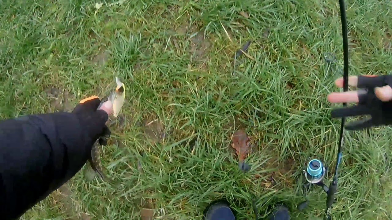 Санкт-Петербург1 декабря 2020 щнурочек 😀на воблер TSYOKI DRAGA130 SP