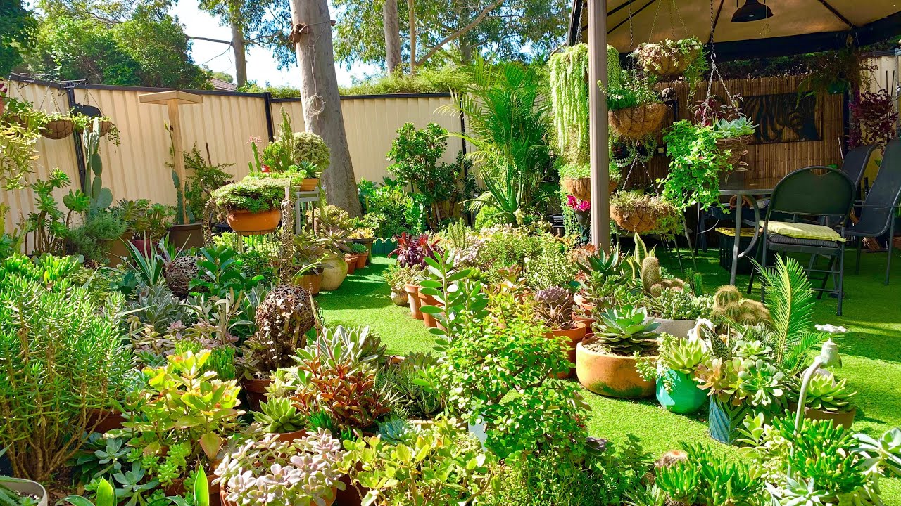 My Backyard Garden Tour YouTube