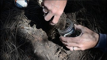 7- Decomposition & Soil: part 2, Soil