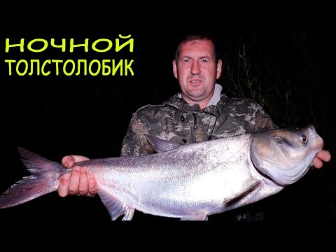 Video: Pishirilgan Kumush Karp