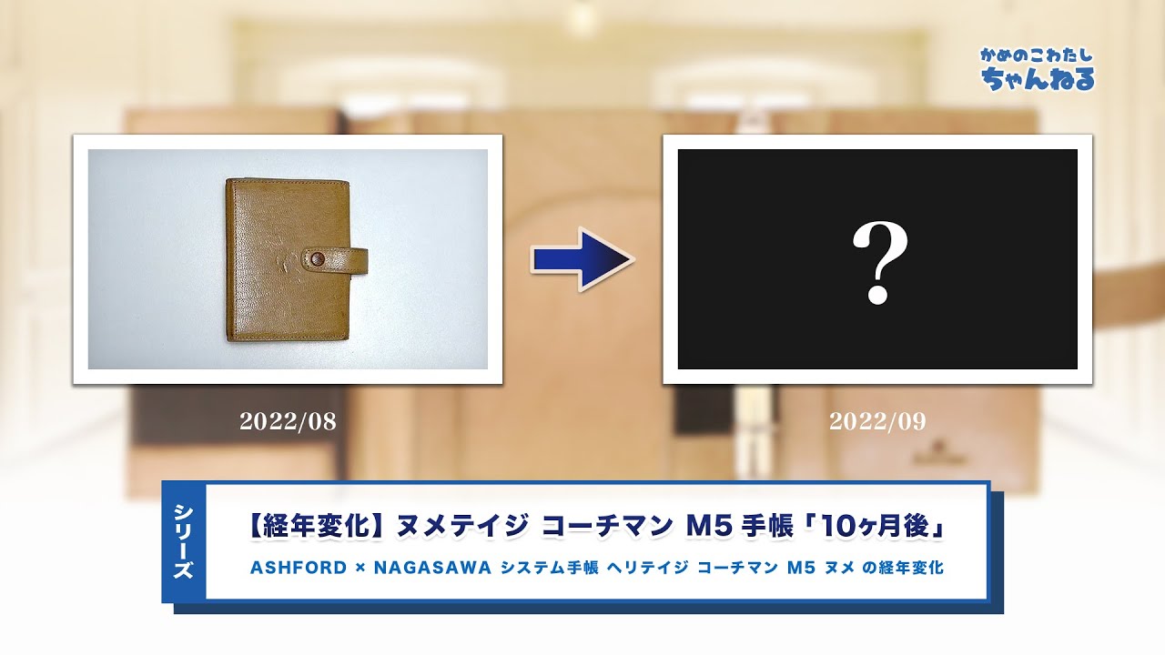 【シリーズ】ヌメテイジの経年変化 10ヶ月後 | ASHFORD × NAGASAWA システム手帳 ヘリテイジ コーチマン M5 ヌメ