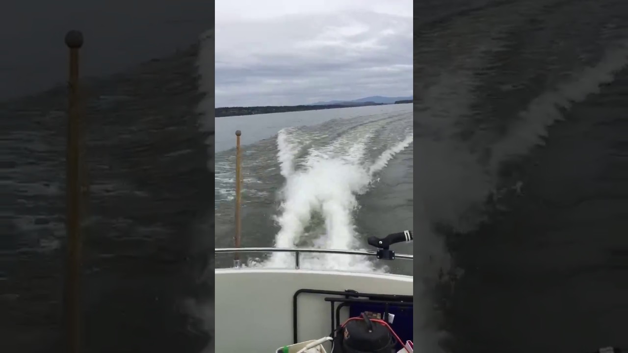 Sold! 30 Tollycraft Express Flybridge Cruiser with Twin Power Boat for sale in Portland Oregon