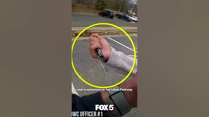 Video shows 16-year-old stab Fairfax County police officer