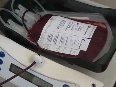 СПС-ПУПС-ЈС БОР- Добровољно давалаштво крви