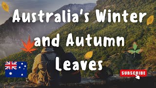 Exploring Mount Macedon: Australia's Winter Beauty and Autumn Leaves Day Trip | Part 1