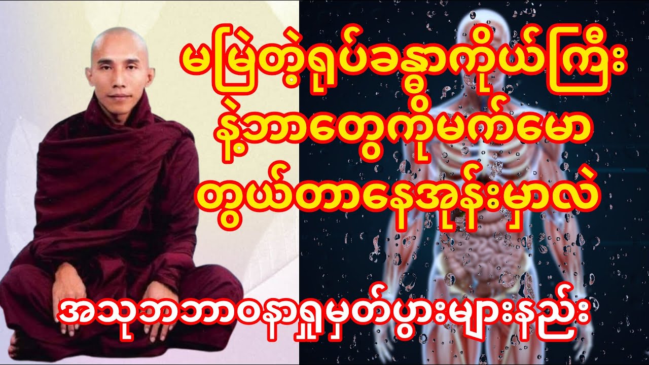 ``အသုဘ ဘာဝနာ´´သစ္စာရွှေစည် ဆရာတော် အရှင်ဥတ္တမ တရားတော်