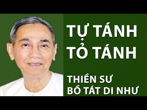 Video TỰ TÁNH TỎ TÁNH, THIỀN SƯ BỒ TÁT DI NHƯ thuyết giảng - youtube
