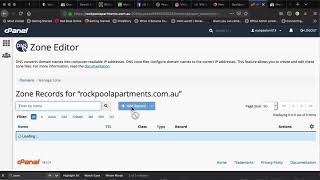 Google Verification with DNS zones - TXT records on Name Registry Vs Hosting Server Account