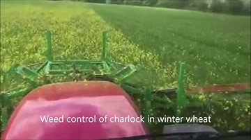 Charles Twinberrow doing weed control with CombCut in UK