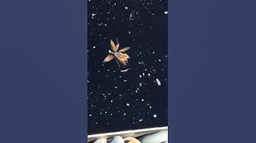 Thumbnail of a dancing waterlily fairy