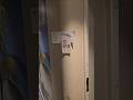 Carnival Celebration Cabin 12315 tour. #12315 #carnivalcruise #cruisetour  #cruise