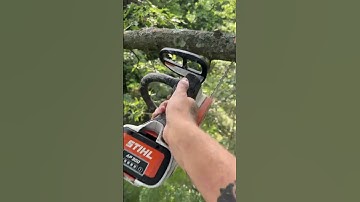 The Safest Way To Do Tree Work
