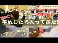 【捨て活•音声付き】手放したら入ってきた⁉️捨て活したモノをメルカリで手放し!一年間のまとめ/梱包/5人家族/マンション/整理収納/片付け