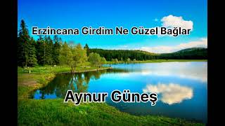 Aynur Güneş - Erzincana Girdim Ne Güzel Bağlar Resimi