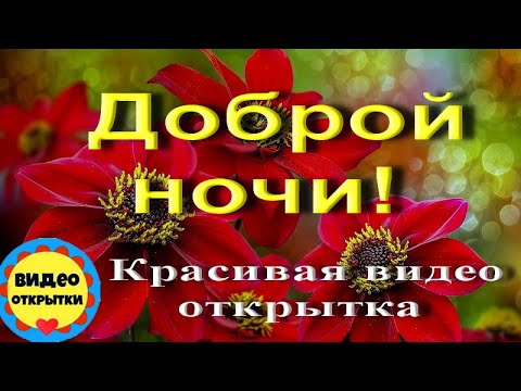Видео открытка. Доброй ночи! #видеооткрытка # анимация