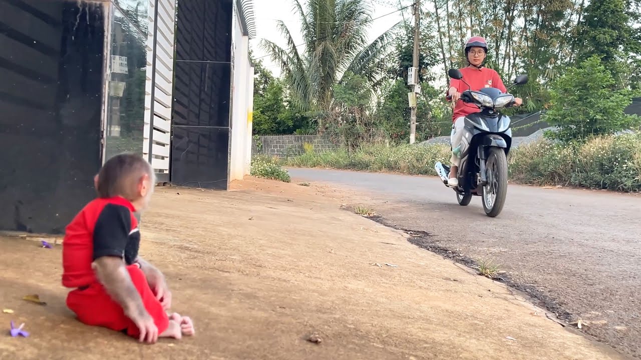 Невозможно пропустить! CUBIS терпеливо ждет возвращения своего товара на рынок.