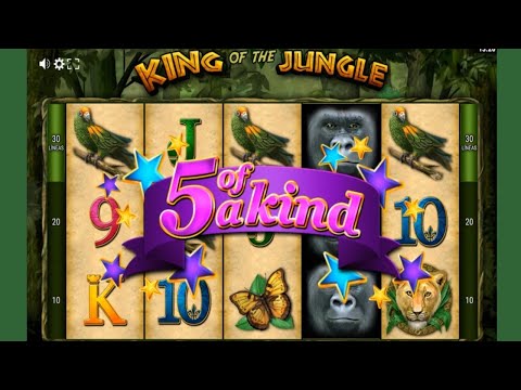 Découvrez les délais de retrait au Tiki Taka Casino, pour jouer en ligne en toute sérénité en Belgique