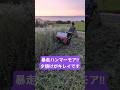 暴走ハンマーモア!!仕事が忙しいので一人で遊んでました😭#オーレック#刈馬王#田舎暮らし #草刈り#除草