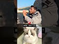 “This Cat Can’t Solve This Math 😂”#CatShorts #FunnyCat #CatMeme #MathMeme#ConfusedCat #Relatable