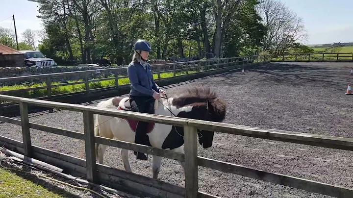 Tlt club Starter 1 - Donna Doyle and Dalvik du Rab...