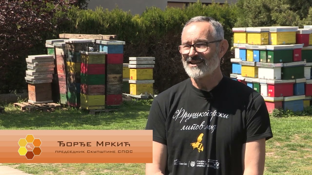 Boja meda ep. 381 24.06.2025. Kvalitet matice, sa koje strane je pravilno prići košnici punoj pčela