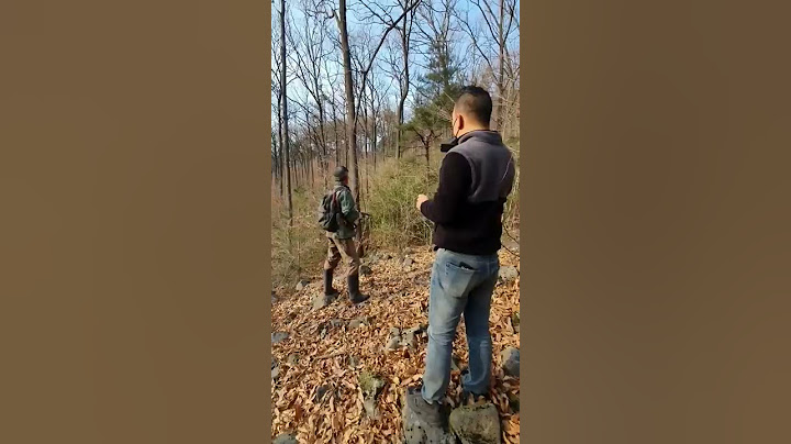 200kg 멧돼지 등장 5초 전