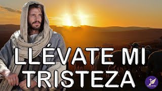 Llévate mi Tristeza  - 1 Hora música de oracion - Padre Chelo de Música Católica #14