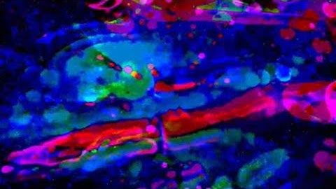 d2Vla2VuZCB2aWJlc3ogaG91cyBtaXggPi08IGVycm1tbTQzNTYzbW1tdWhyNDg5M2h1aWpua20=