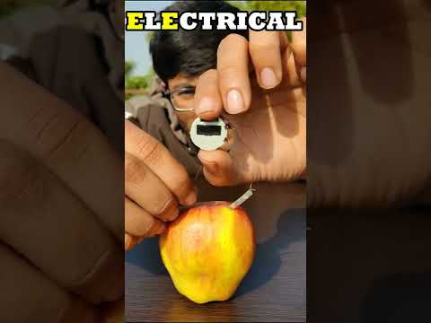 वीडियो: न्यू इंग्लैंड में सेब चुनना - अपना खुद का सेब चुनें