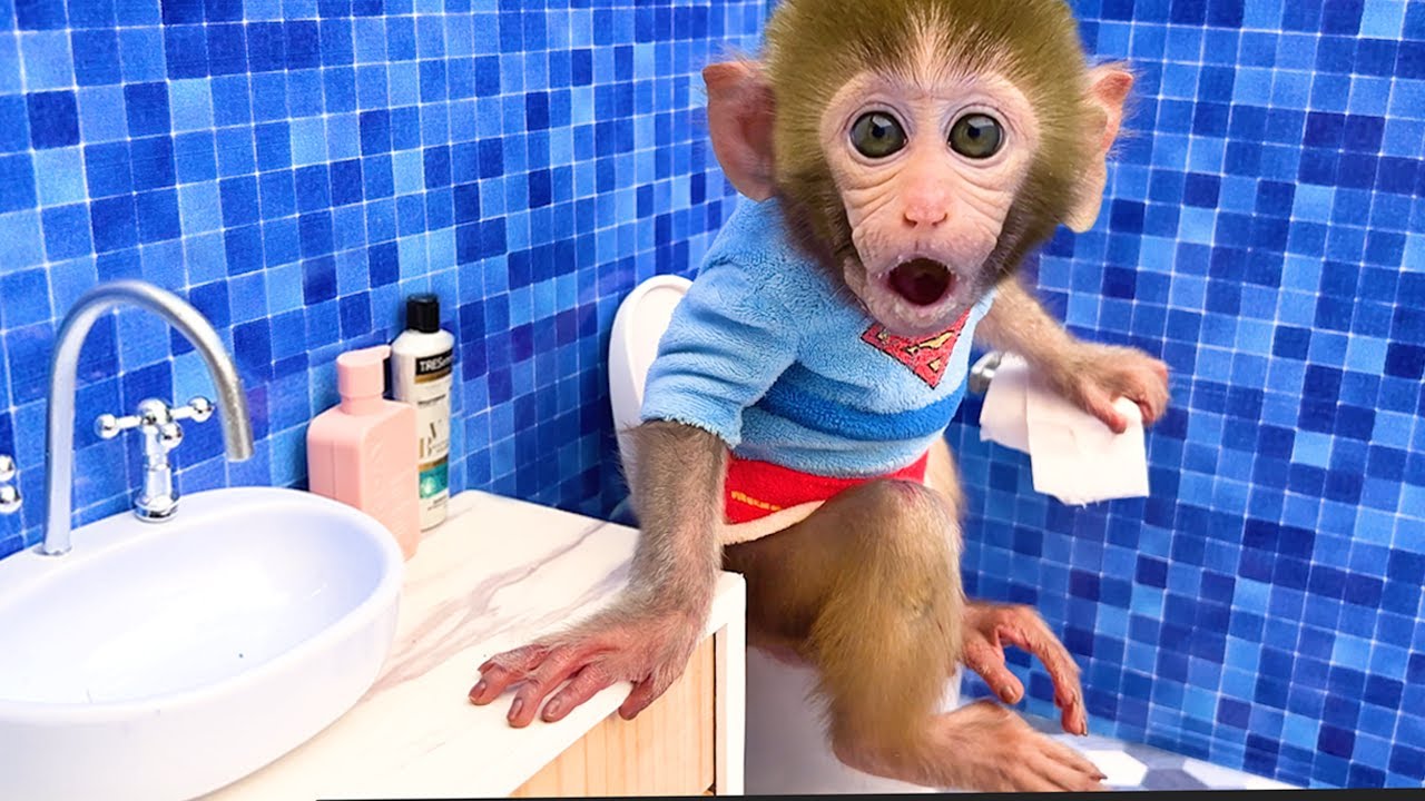 Monyet Bon Bon Imut menjelajahi kolam air di dalam rumah dan hujan permen pelangi yang ajaib