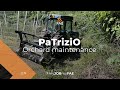 The FAE forestry mulcher in action with a New Holland tractor in an apple orchard