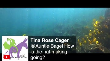 Daily Pidgin LIVE 3:30 PM Show 1/11/21