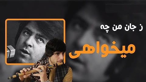توله جدید، آهنگ احمدظاهر، زجان من چی میخواهی، همین آهنگ با توله نواخته شد.