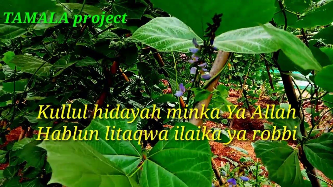 YA ROBBI SALIMNA HADROH MEDERN || TAMALA PROJECT