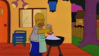 Simpsons - s02e03 - Treehouse of Horror (clip of Homer lighting up a BBQ grill)