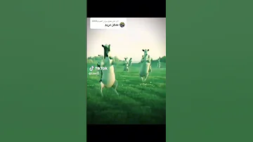 مريومة مومة مومة 