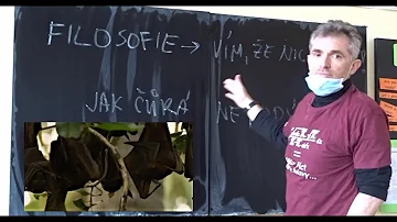 Proč se netopýři báli?