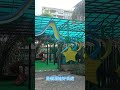 【來廈門旅遊，南湖公園是一個休閒娛樂好去處】