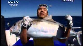 Mancing Mania (22 Dec 2013) - Top Predator Australia