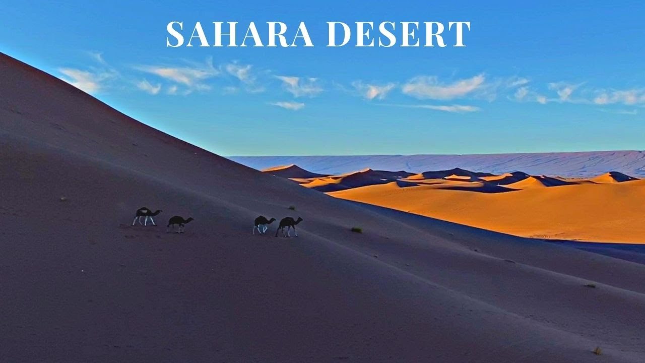 🇲🇦 E05: $180 Trip To Sahara Desert, Erg Chigaga