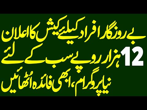 How to Apply Online Ehsaas Labor Portal NADRA Gov Pk - Ehsaas Labor Portal Ehsas Berozgaar Scheme